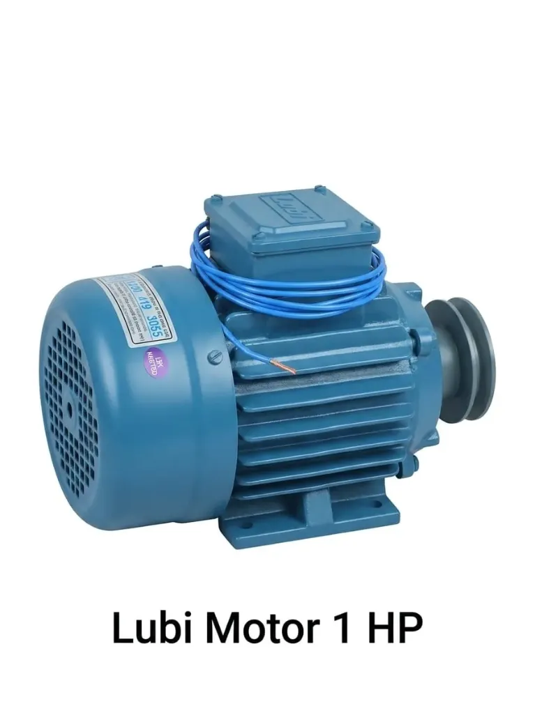 Lubi Motor 1 HP,3 Phase Motor,4 POLE,IE-2,B-3,F-CLASS,80L